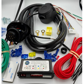 faisceau multiplexé 13 broches